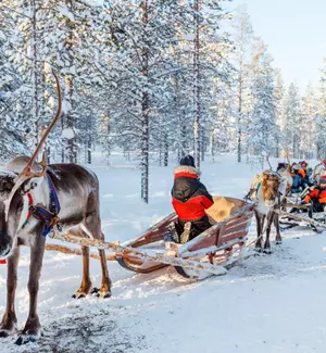 Lapland Turu Beyaz Rotalar Tornio (3 Gece)